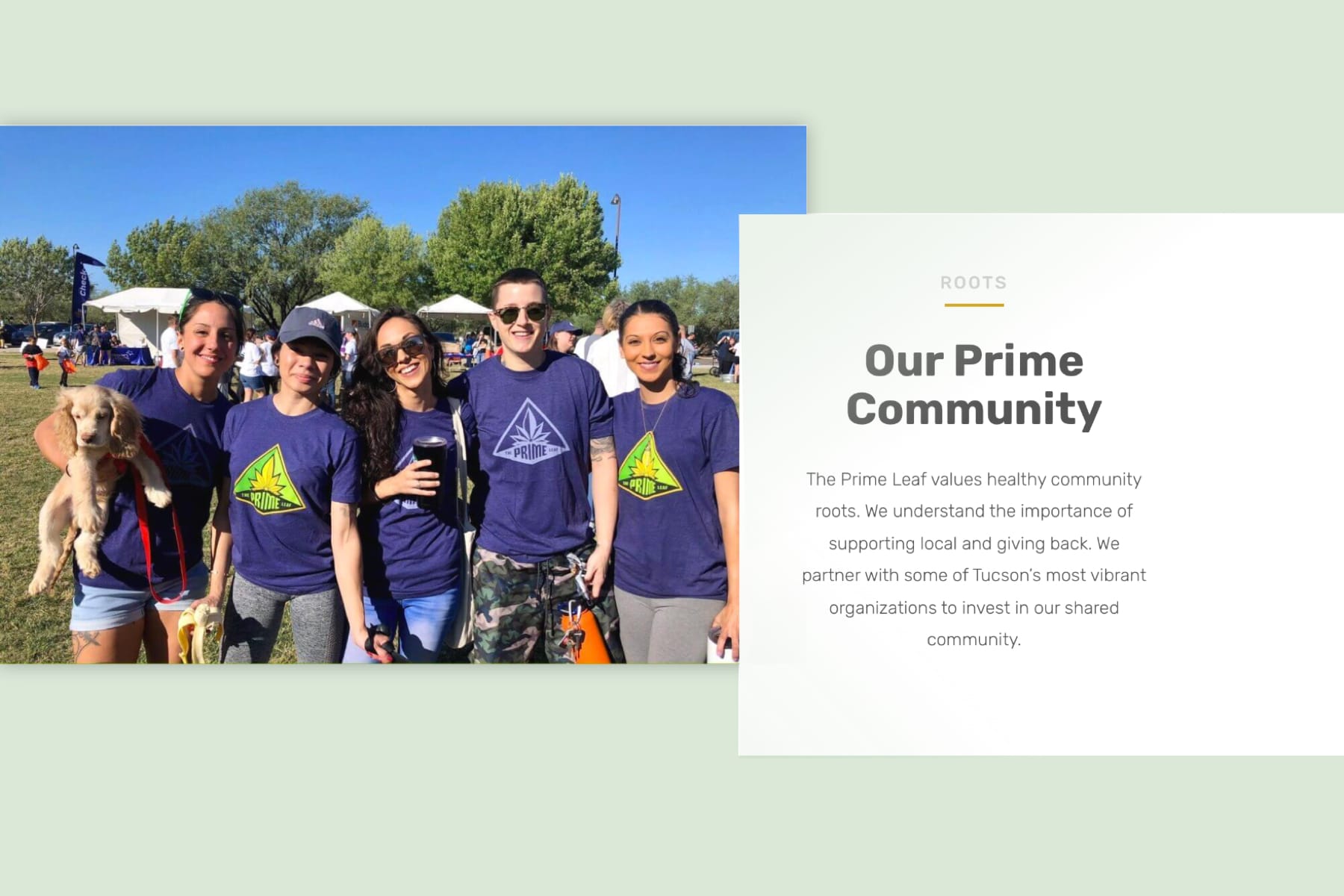 Prime Lead Community Screen