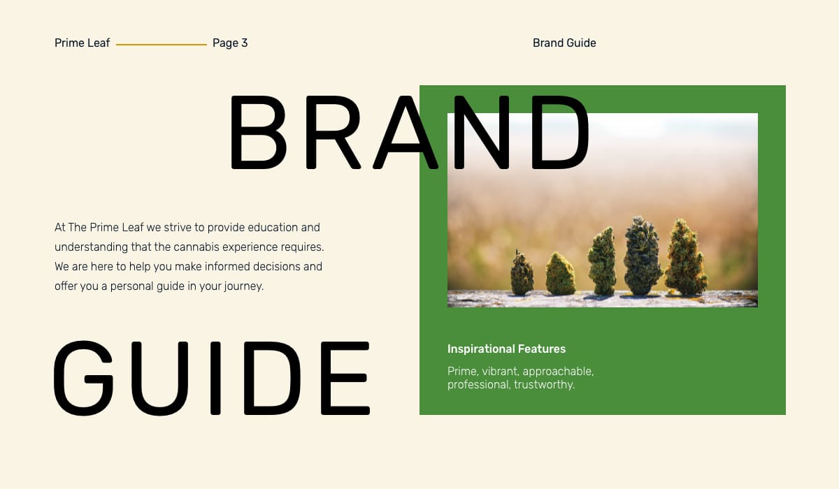 Brand Guide Typefaces