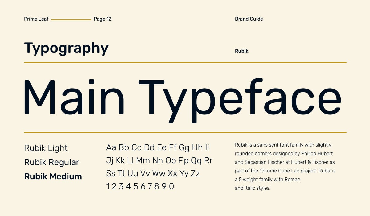 Brand Guide Tints